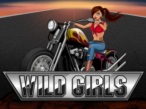 Wild Girls game screenshot